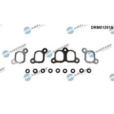 Dichtungssatz Ansaugkrümmer DRM01291S