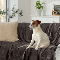 Petmaker 60 x 70 in Dog Blanket - Charcoal