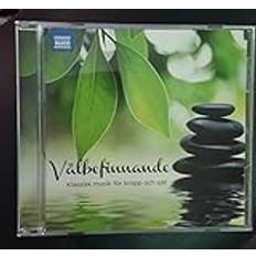 Välbefinnande Klassisk Musik För Kropp Och Själ (CD)