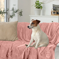 Petmaker 60 x 70 in Dog Blanket - Pink