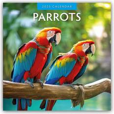 Parrots Papageien 2025 16 Monatskalender - Original Red Robin Publishing