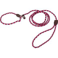 Bellamia Traxx Retriever Copper - Red