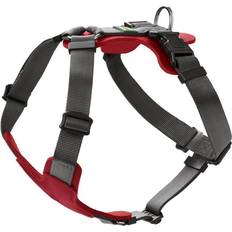 Hunter Aalborg Mixed Harness S