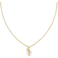 Guldbelagt - Rustfri stål Halskæder Tommy Hilfiger Pearl Halskæde Rustfrit Stål 2780762 - Gold
