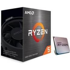 AMD Ryzen 5 5500 3.6 GHz processor OEM
