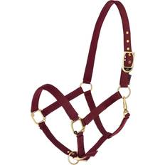 Halter for Horse Classy - Rouge