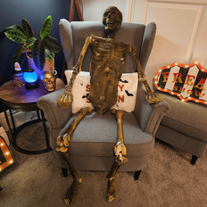 5ft Full Body Halloween Mummified Skeleton with Posable Joints