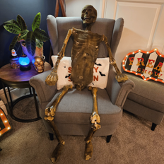 Skeletons Samuel Alexander 5ft Full Body Halloween Mummified Skeleton with Posable Joints