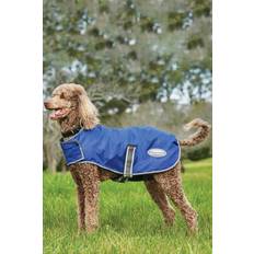 Pets Weatherbeeta Comfitec Windbreaker Dog Coat 65