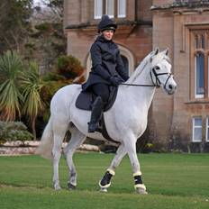 Equestrian Coats Aubrion Halcyon Mid Length Coat - Charcoal