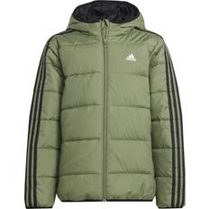 Grau Jacken Essentials 3 Stripes Steppjacke Kinder - Grün