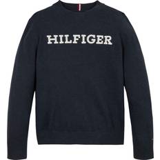 Tommy Hilfiger Boys Knitted Sweaters Tommy Hilfiger Desert Sky Monotype Regular Sweater - Desert Sky