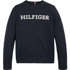Tommy Hilfiger Stickade tröjor Tommy Hilfiger Monotype Regular Genser - Desert Sky