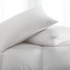 Down Bed Pillows Salzburg Soft Standard 20.0 H x 26.0 W x 6.0 D Down Pillow