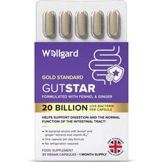 Ginger Gut Health Wellgard Gutstar