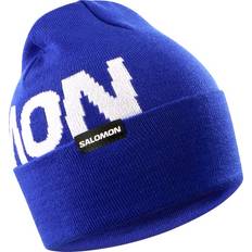 Salomon Hermitage Beanie - Surf The Web