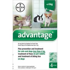 Battles Bayer Advantage Spot-On Solution 4 kg