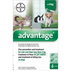 Spot-On Solution 40mg