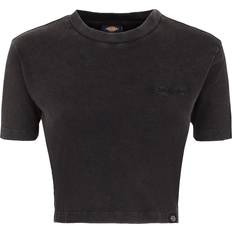 Dickies T-shirt - Plentywood