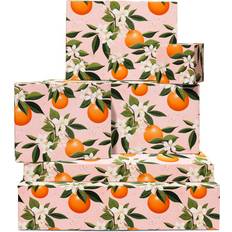 Florals Gift Wrapping Papers Central 23 Orange Wrapping Paper 6 Sheets of Eco Birthday Gift Wrap Oranges on Branches Floral For Kids Men Women Recyclable