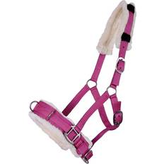 QHP Cavesson Kapsun - Fuchsia