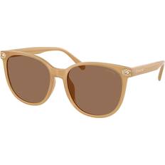 Coach Women Sunglasses Coach Asian Fit 585473 Women's Sunglasses - Milky Tea Brown