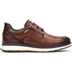 Herre Oxford Pikolinos Cordoba Brun Herresneaker - Brun