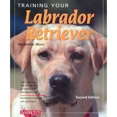 Labrador retriever Training Your Labrador Retriever (Häftad, 2009)