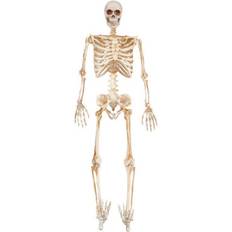 Skeletons Spooky halloween decoration full skeleton with led eyes, 36"