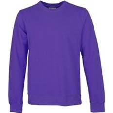 Colorful Standard Classic Organic Sweatshirt - Violet