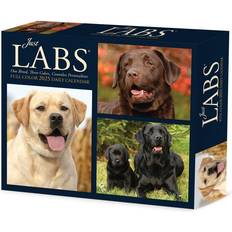 Office Supplies Willow Creek Press Just Labs 2025 Desk Calendar