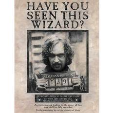 Wood Posters Harry Potter Wanted Sirius Canvas Print 40 cm x 30 cm Poster