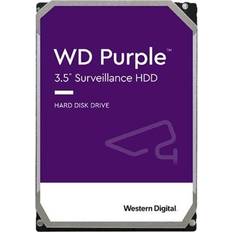 Western Digital Purple 1TB 3.5" SATA 6 Gb/s Internal Hard Drive WD11PURZ