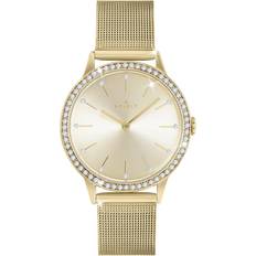 Essential SP4036 Analogt Quartz Mineralglas Gold 15 mm