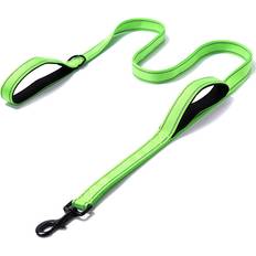 Pets Maxpower Double Handle Dog Leash L - Light Green