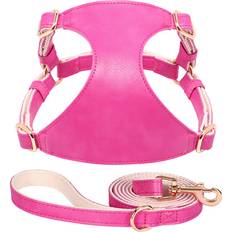 Pets Maxpower PU Leather Dog Harness Leash Set xx S Rose