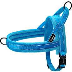 Pets Maxpower No Pull Dog Harness Large - Blue