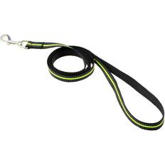 Pets Maxpower Nylon Dog Leash 2.5 x 120 cm - Green