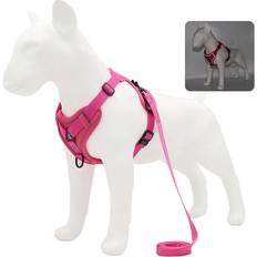 Pets Maxpower No Pull Dog Harness and Leash Set S 2-4 kg - Rose Red