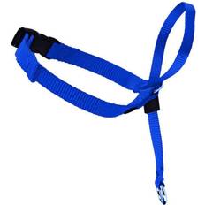 Pets Maxpower Adjustable Dog Head Harness Collar M - Blue