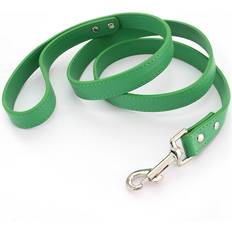 Pets Maxpower Colorful Puppy Leather Dog Leashes (M, Green)