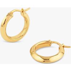 Dinny Hall Signature Chunky Hoop Earrings