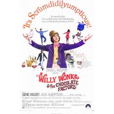 Pink Posters Willy Wonka & The Chocolate Factory Movie 11 x 17 Poster