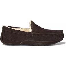 Men - Wool Low Shoes UGG Ascot - Espresso