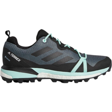 Terrex Skychaser LT GTX - Ash Grey/Mint