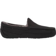 Wool Slippers UGG Ascot - Black