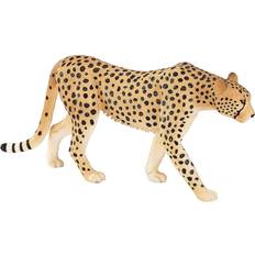 Male Cheetah 387197