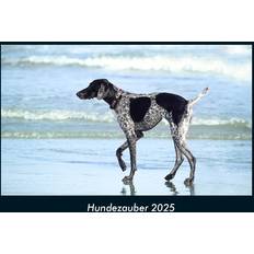 Vero Calendar Dog Magic 2025 Photo Calendar A4