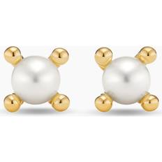 Gold Earrings David Yurman Petite Modern Renaissance Pearl Stud Earrings in 18K Yellow Gold, 5.5mm White/Gold (OS)