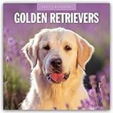 Golden Retriever 2025 16 Monatskalender - Original Red Robin Publishing